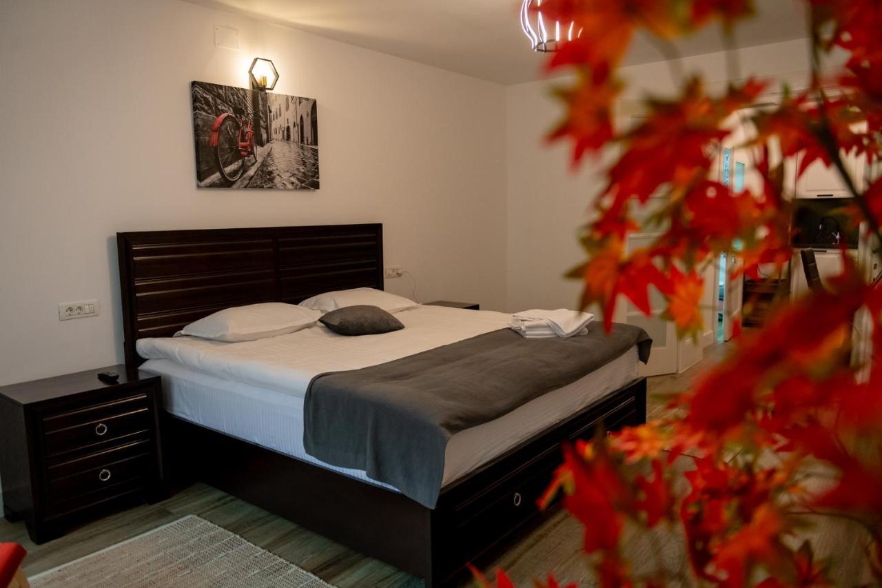 Old Town Suites Брашов Екстериор снимка